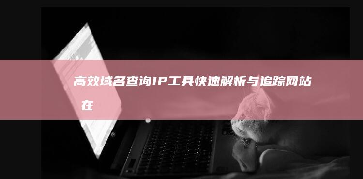 高效域名查询IP工具：快速解析与追踪网站所在地